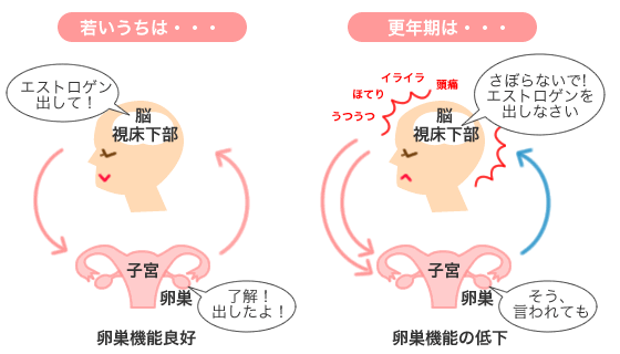 更年期障害の原因